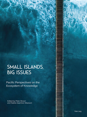 cover image of Small Islands, Big Issues